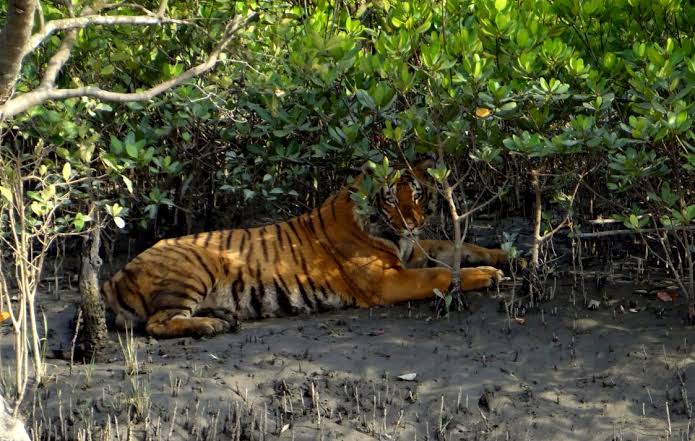 Wildlife Photography Expedition